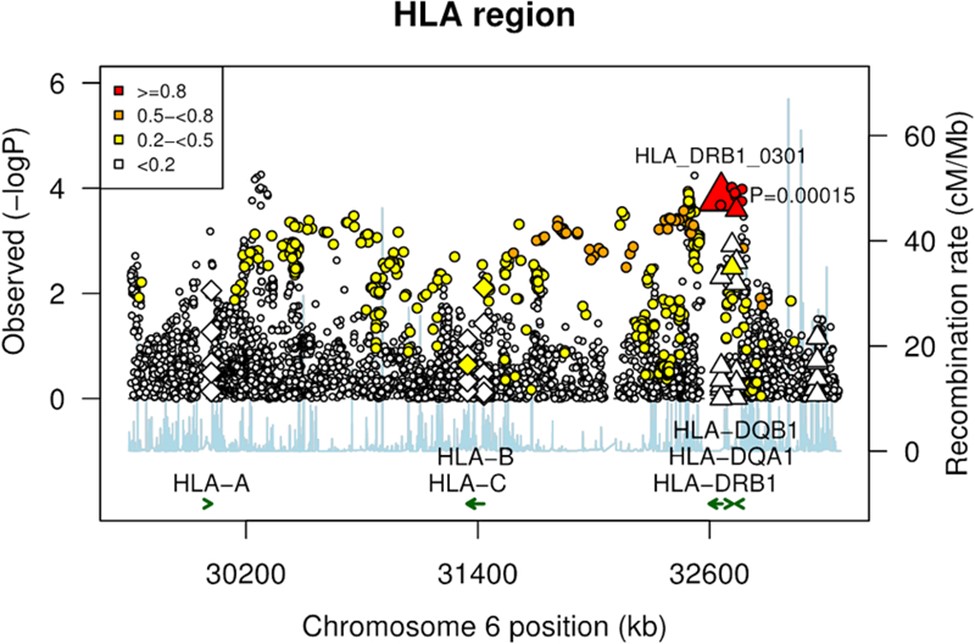 【佳学基因检测】在儿科检测两种 HLA II 基因变异预测骨肉瘤风险
